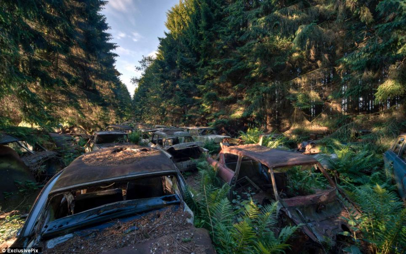 Illustration for article titled Chatillon, Belgium. The Graveyard Of The Cars Of The American Soldiers Deployed In Europe, Who Didn't Take Them Back To The U.S.A.